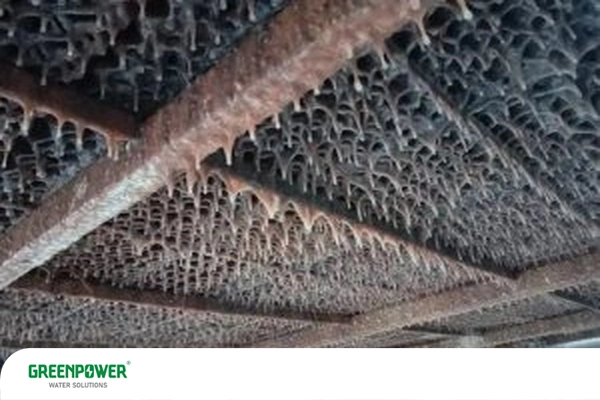 بایوساید در برج خنک کننده بایوساید در برج خنک کننده بایوساید در برج خنک کن از رشد جلبک، قارچ و باکتری در مدار آب جلوگیری میکند و باعث حفظ عملکرد سیستم میشود.