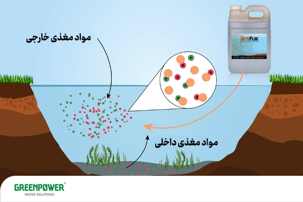 تصویر فرآیند تصفیه آب با کلاریفایر چیست؛ جمع‌آوری و ته‌نشینی مواد مغذی خارجی و داخلی در برکه برای کاهش جلبک و شفاف‌سازی آب.