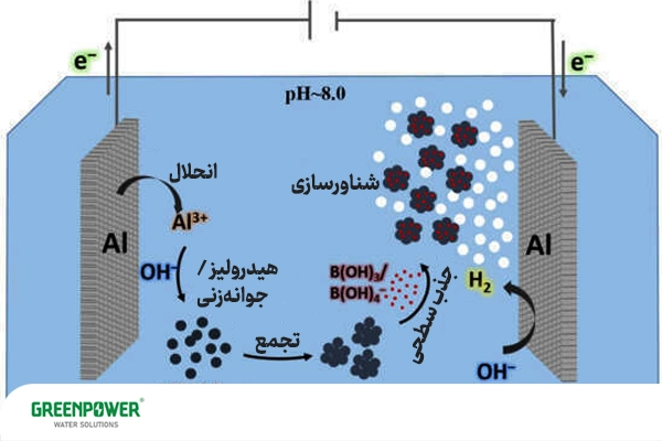 شماتیک فرآیند الکتروکواگولاسیون با الکترودهای آلومینیوم برای حذف بور از آب؛ تشکیل لخته، تجمع و شناورسازی ذرات بور در pH کنترل‌شده.