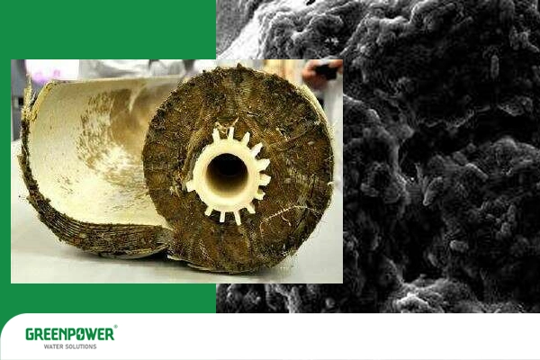 تصویر فیلتر ممبران صنعتی به‌ شدت دچار گرفتگی و آلودگی، مربوط به مراحل بررسی و نحوه تعویض فیلتر ممبران صنعتی در سیستم تصفیه آب برای حفظ کیفیت عملکرد دستگاه