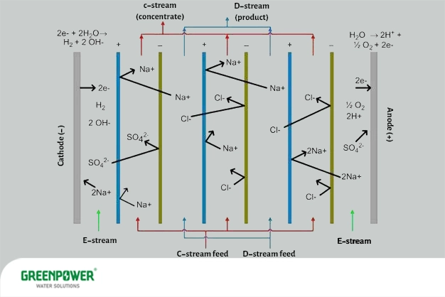 نمک زدایی الکترودیالیز نمک زدایی الکترودیالیز دیاگرام علمی نمکزدایی الکترودیالیز که مسیر حرکت یونهای Na⁺، Cl⁻ و SO₄²⁻ را میان غشاهای تبادل یونی، بههمراه واکنشهای الکتروشیمیایی در آند و کاتد و تفکیک جریان رقیق (محصول) و جریان تغلیظشده نشان میدهد.