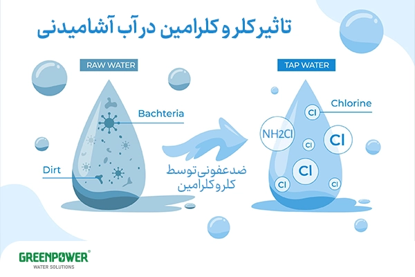 حذف کلرامین از آب حذف کلرامین از آب اینفوگرافیک تأثیر کلر و کلرامین در آب آشامیدنی که تفاوت آب خام و آب لولهکشی، حذف باکتریها و فرآیند ضدعفونی با کلرامین را نشان میدهد و بر اهمیت حذف کلرامین از آب برای سلامت مصرفکنندگان تأکید دارد