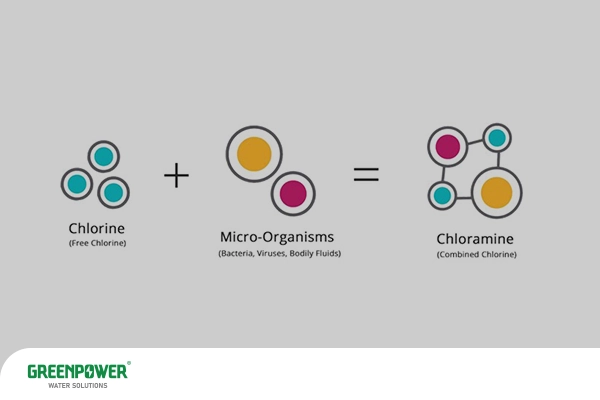 حذف کلرامین از آب حذف کلرامین از آب اینفوگرافیک شماتیک که واکنش کلر آزاد با میکروارگانیسمها را نشان میدهد و تشکیل کلرامین را توضیح میکند، با تمرکز بر اهمیت حذف کلرامین از آب برای حفظ سلامت و کیفیت آب